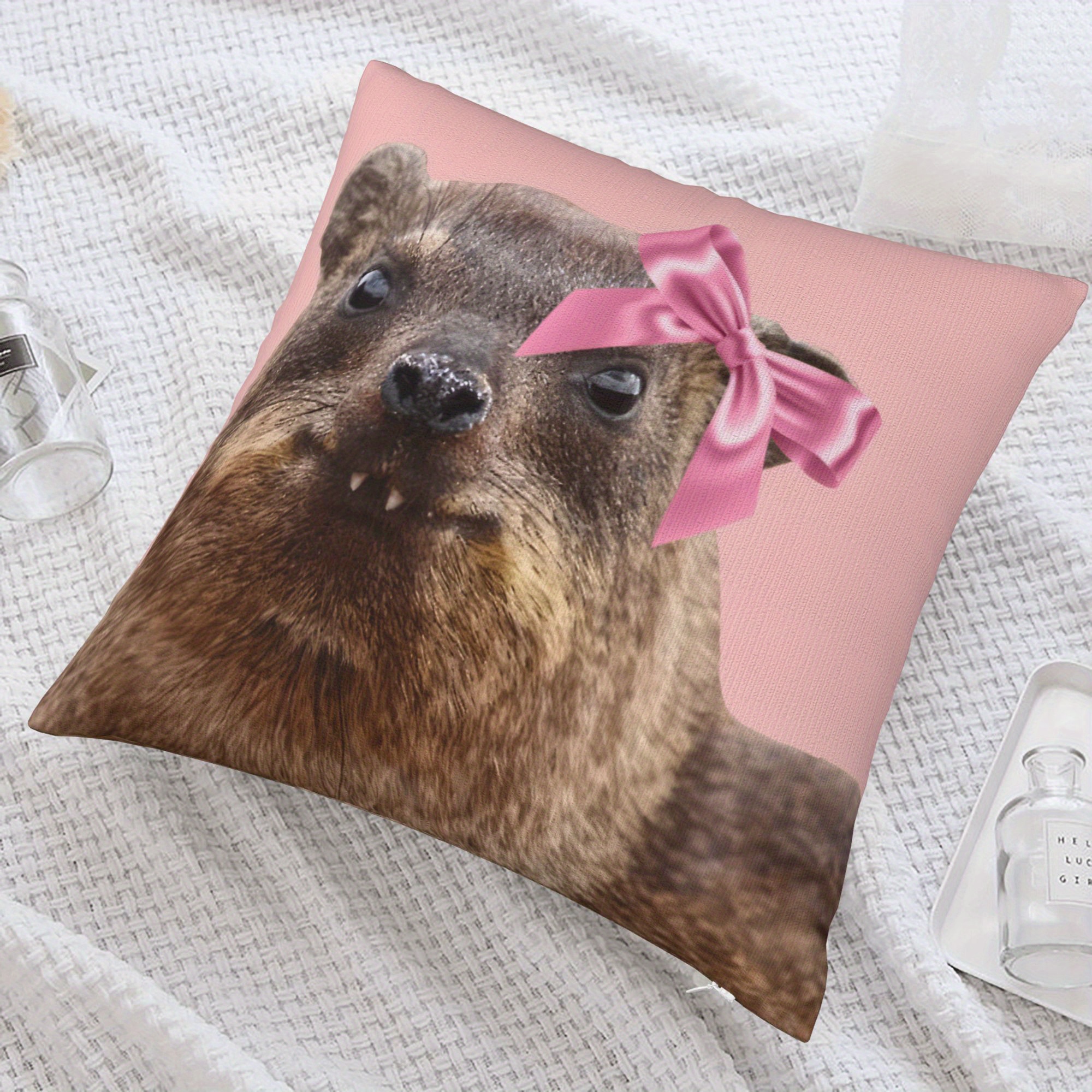 Cute Raccoon Pillowcase Nurser - огляд і ціна Baby Nursery Cushion